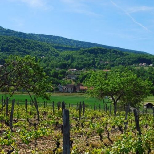 Plateau-Massignieu_799x535