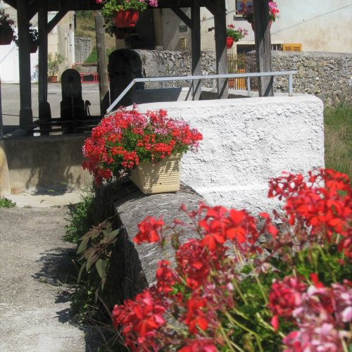 belmont_village_bac_fleur_web-1
