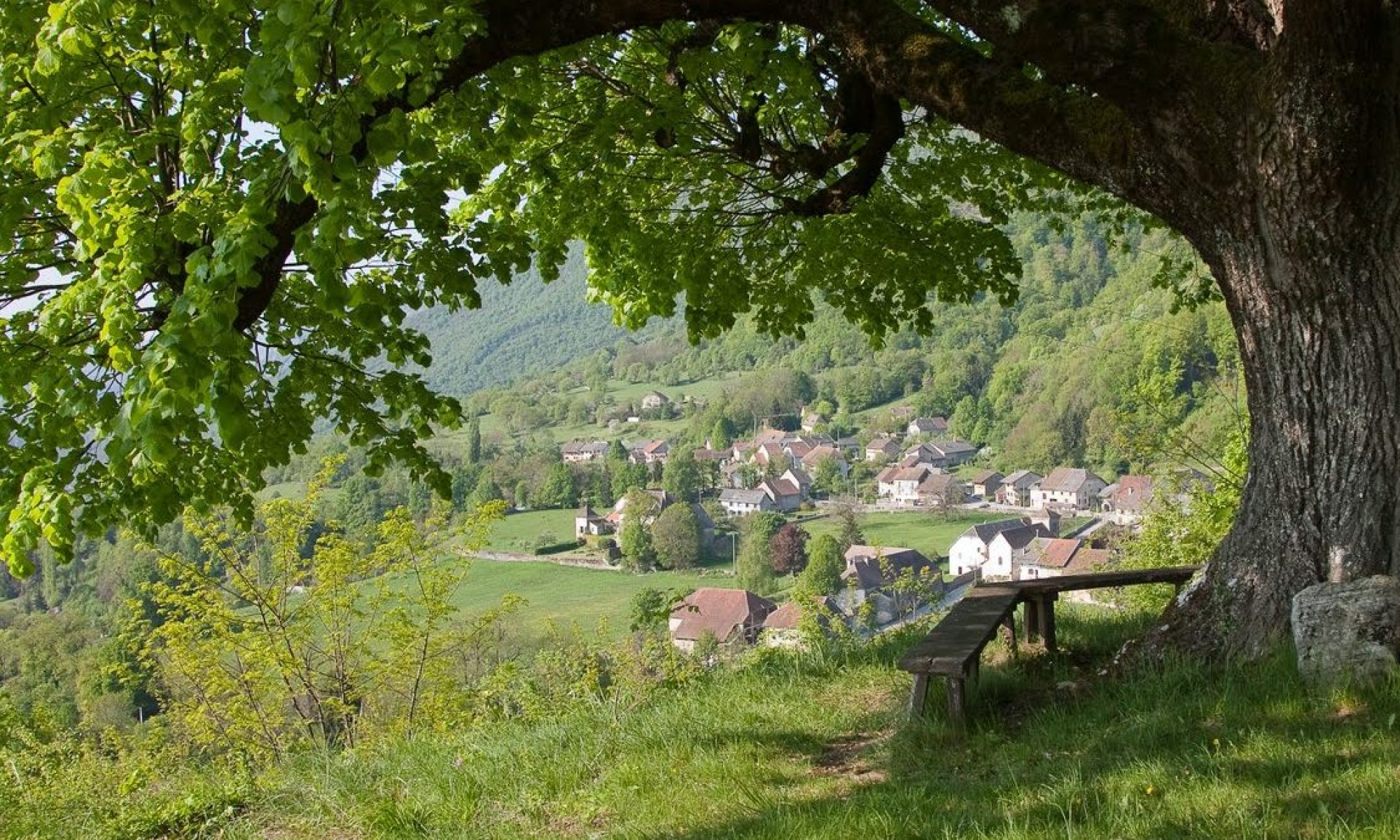 banniere_min